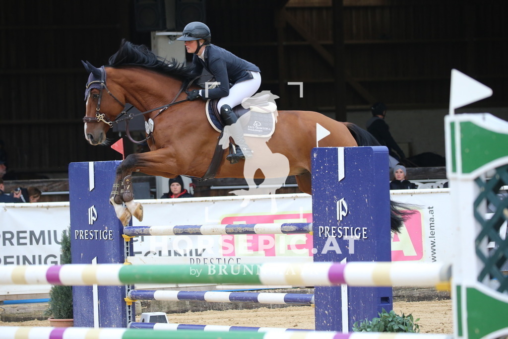 DL2Q0787 | Willkommen bei Brunnmayr - Design & Fotografie – Ihrem Spezialisten für Reitturniere und Pferdeveranstaltungen in Oberösterreich, Salzburg und Bayern! Seit über 17 Jahren sind wir leidenschaftlich dabei.