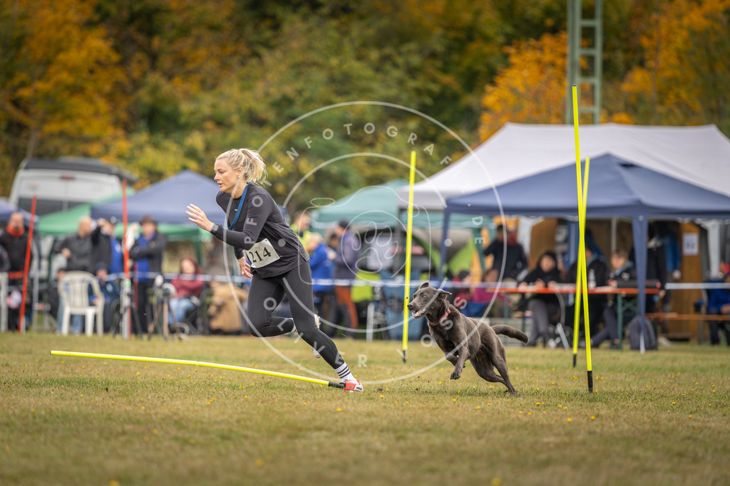 Pfotenfotografie_DV3A3431 | Hundefotografie, Tierfotograf, Pfotenfotografie, Fotoshooting Hund, Hunde Portrait, Hundesport, Hundeportraits, Heideshooting, Hunde, Sportfotograf, Hundefotograf, Turnierhundsport, THS,  - Realisiert mit Pictrs.com