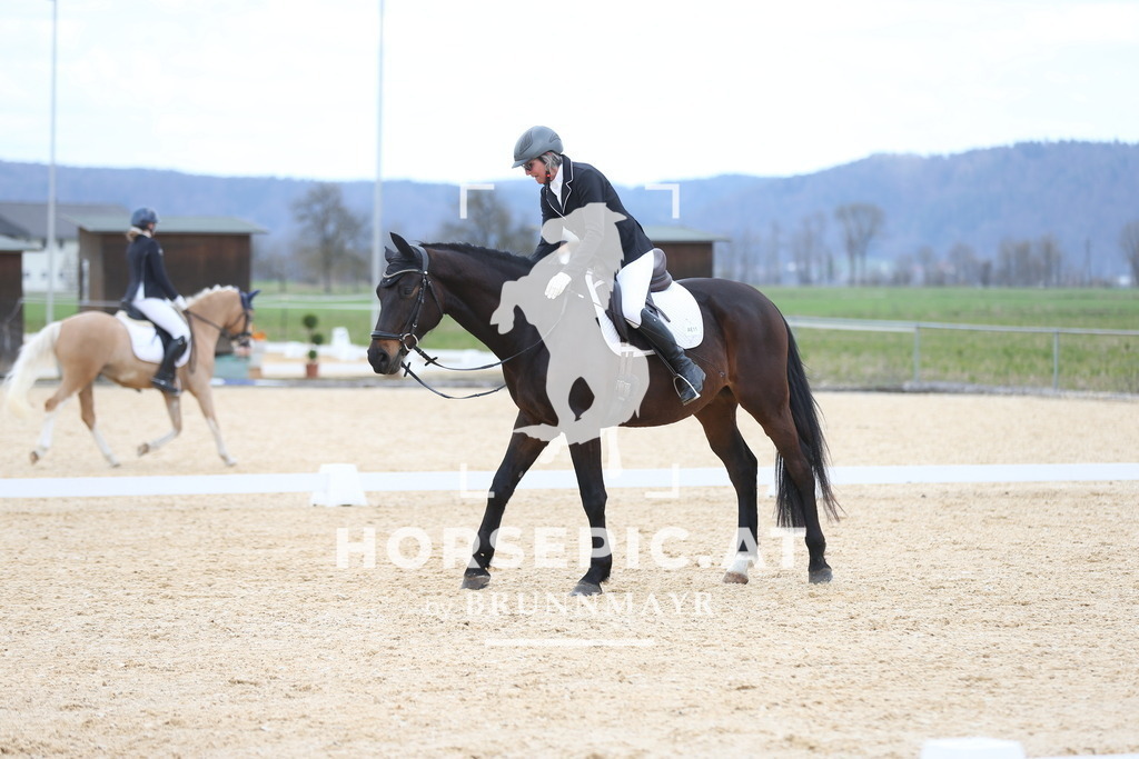 AS8V1362 | Willkommen bei Brunnmayr - Design & Fotografie – Ihrem Spezialisten für Reitturniere und Pferdeveranstaltungen in Oberösterreich, Salzburg und Bayern! Seit über 17 Jahren sind wir leidenschaftlich dabei.