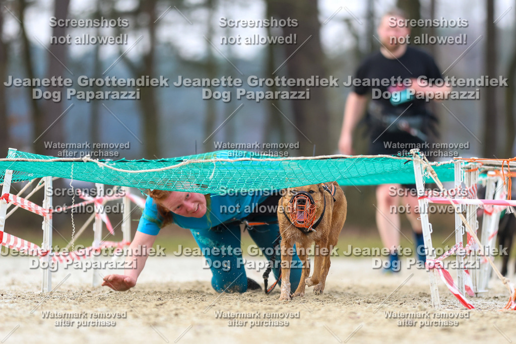 Dog Paparazzi - Strongdog North Mrz26-4052 | Dog Paparazzi Jeanette Grottendiek Fotografie & Videografie - Realisiert mit Pictrs.com