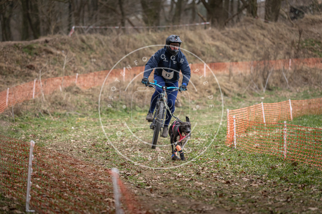 Pfotenfotografie_DV3A6347 | Hundefotografie, Tierfotograf, Pfotenfotografie, Fotoshooting Hund, Hunde Portrait, Hundesport, Hundeportraits, Heideshooting, Hunde, Sportfotograf, Hundefotograf, Turnierhundsport, THS,  - Realisiert mit Pictrs.com
