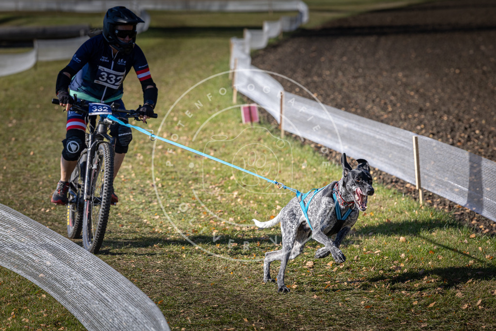 CaniXpix_DV3A6799 | Hundefotografie, Tierfotograf, Pfotenfotografie, Fotoshooting Hund, Hunde Portrait, Hundesport, Hundeportraits, Heideshooting, Hunde, Sportfotograf, Hundefotograf, Turnierhundsport, THS,  - Realisiert mit Pictrs.com