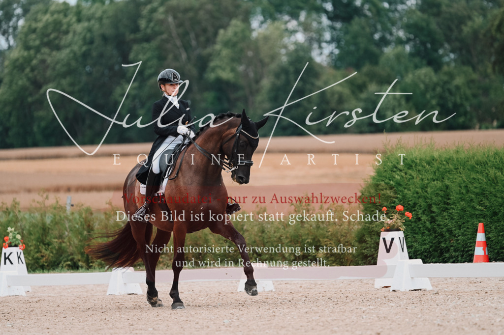 DSC_4157 | Pferde- und Turnierfotografie in Westsachsen. Pferdeportraits, Auftragszeichnungen und intuitive Kunst.