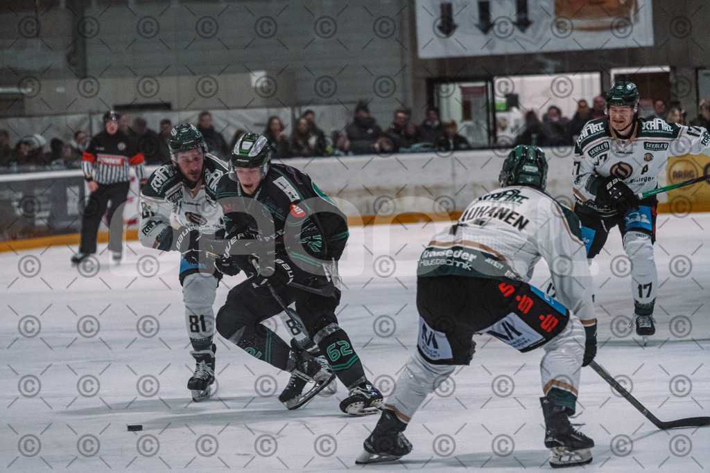 Alligators_vs_Erding_01_02_2026-49 | Höchstadt Alligators Fotogalerie: Eishockey-Action aus Franken. Professionelle Spielfotos, Portraits & Stadionbilder zum Download. Jetzt entdecken! - Realisiert mit Pictrs.com