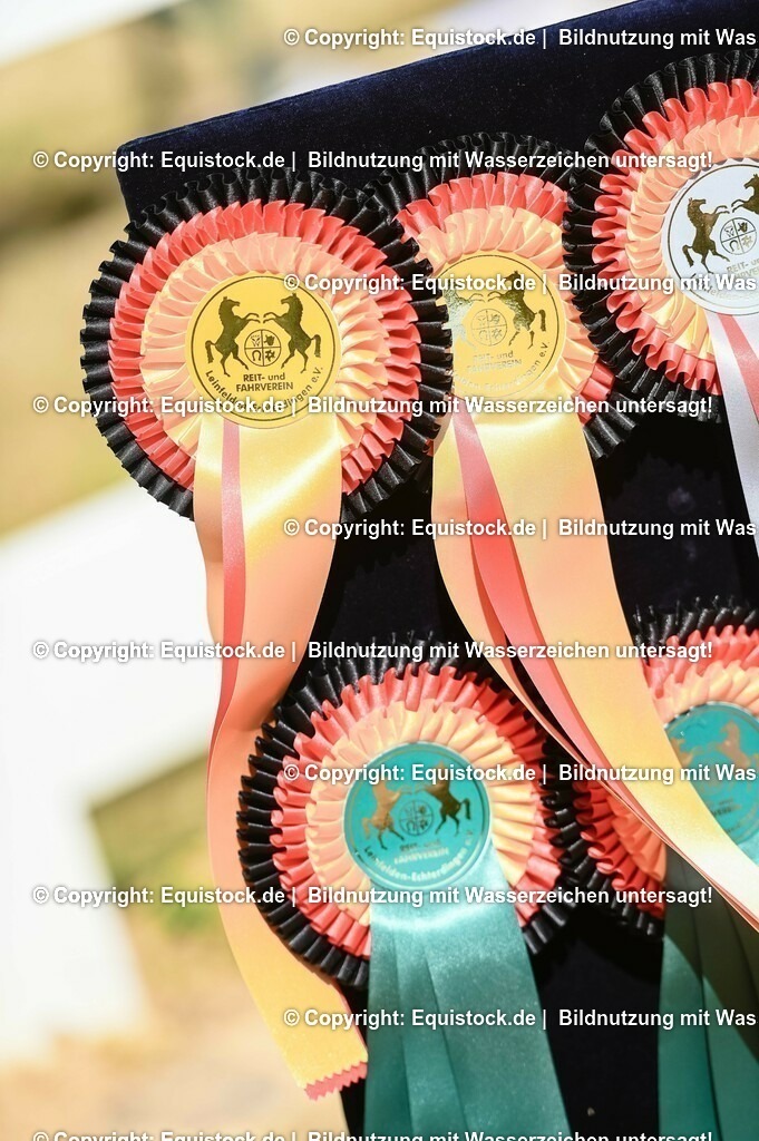 20230715_07_Dressurpferdeprfg. Kl.L_0203 | equistock