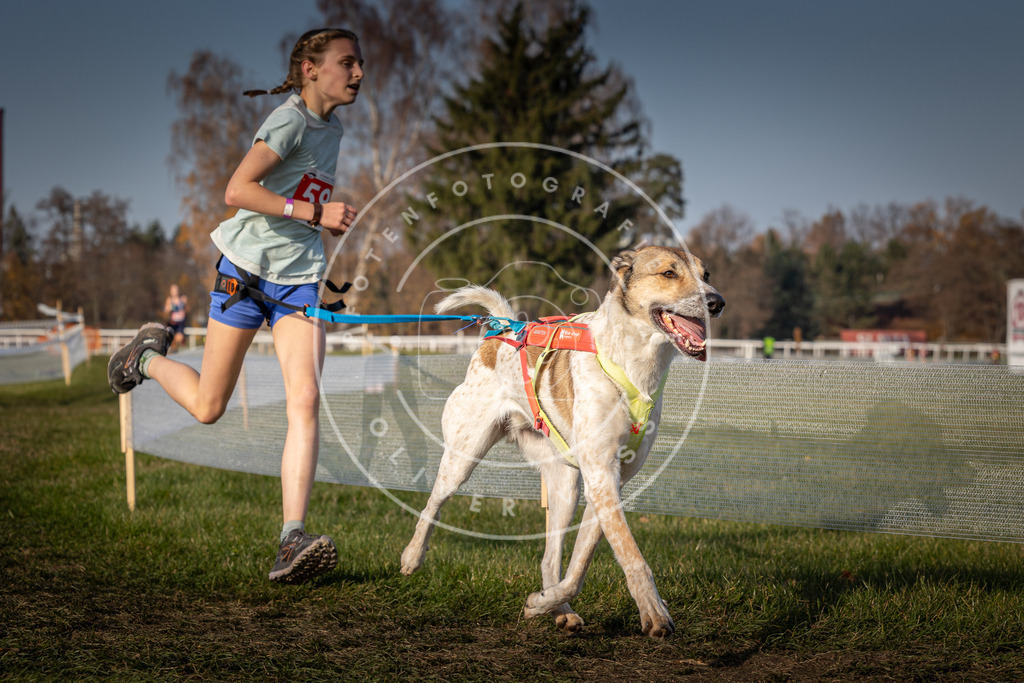 CaniXpix_0L8A0050 | Hundefotografie, Tierfotograf, Pfotenfotografie, Fotoshooting Hund, Hunde Portrait, Hundesport, Hundeportraits, Heideshooting, Hunde, Sportfotograf, Hundefotograf, Turnierhundsport, THS,  - Realisiert mit Pictrs.com