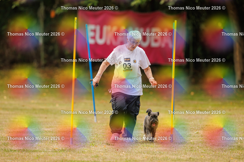 Thomas_Nico_Meuter(C)_22. August 2026_223A2225 | Bild von Thomas Nico Meuter - Realisiert mit Pictrs.com