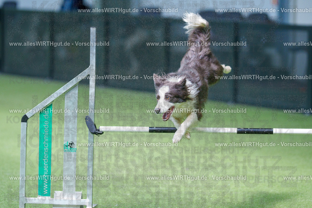 @allesWIRTHgut_Tierfotografie - www.allesWIRTHgut.de - 2604251353-7R504252 | Professionelle Tierfotografie in Mönchengladbach von Daniel Wirth (allesWIRTHgut). Liebevolle & natürliche Bilder von Hunden & Katzen für unvergessliche Erinnerungen.