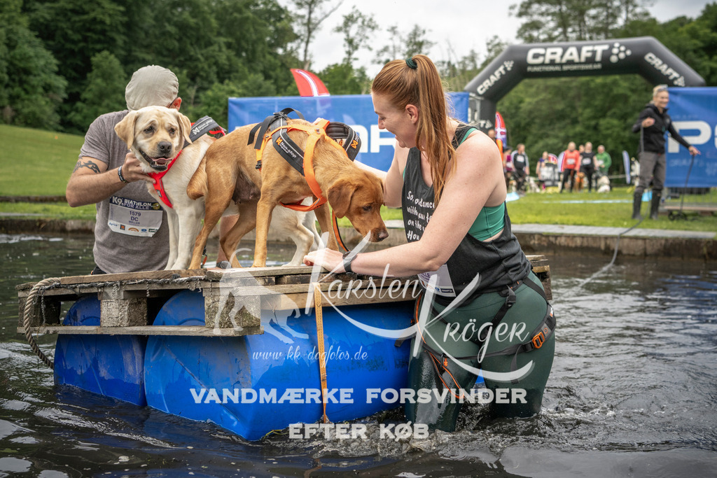 1007_ZZ94421 | kk-dogfotos