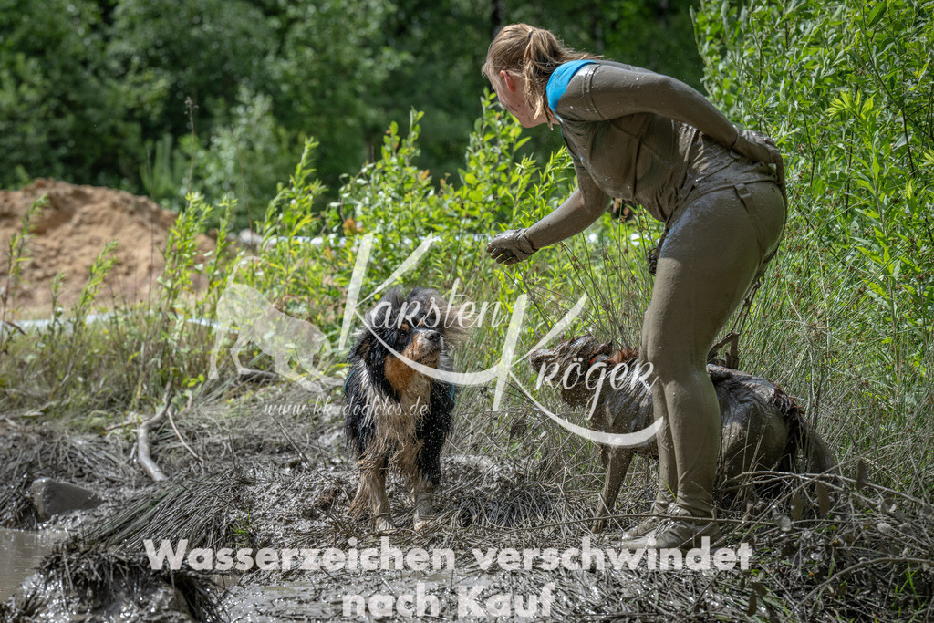 1119_ZZ91395 | kk-dogfotos