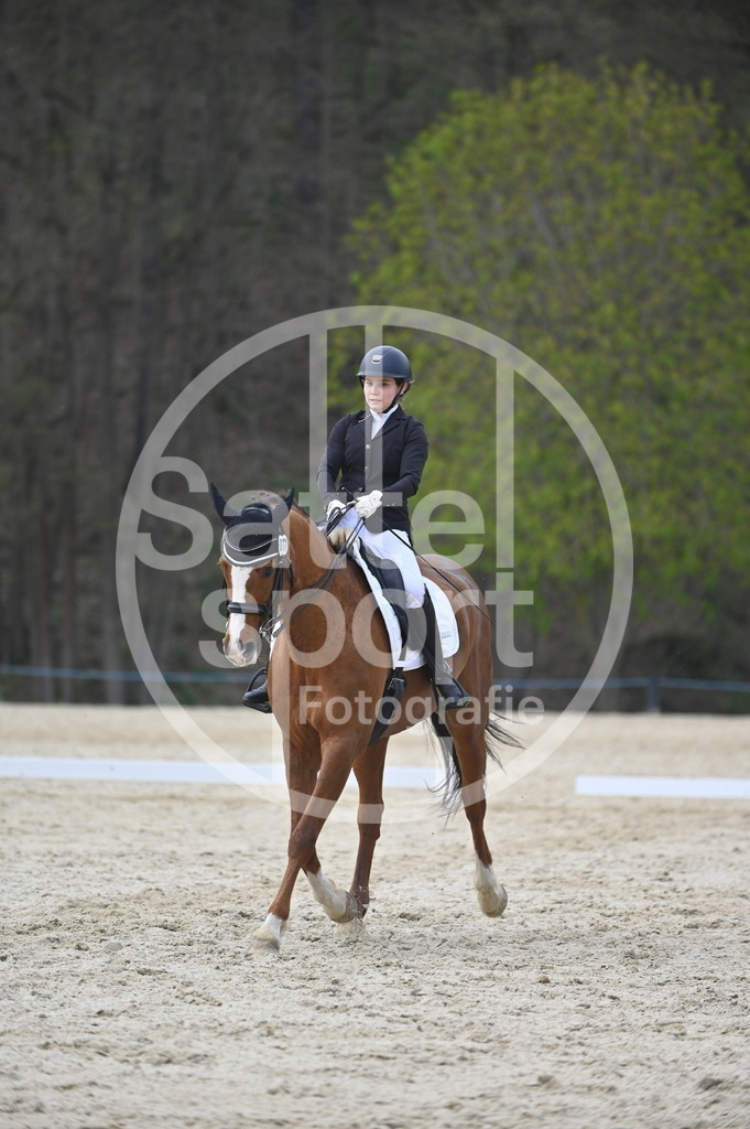 DSC_4849 | sattelsport - Realisiert mit Pictrs.com