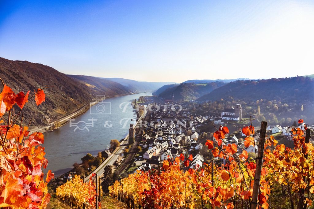 Oberwesel-3861 | Die Premium-Weinlage in Oberwesel am Rhein. - Realisiert mit Pictrs.com