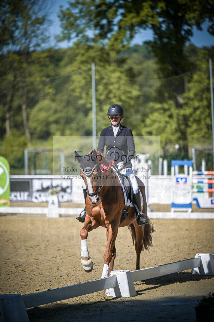 DOS_7511 | Entdecke hochwertige Reitturnierfotos von Foto Oger. Professionell, emotional und authentisch – jetzt Lieblingsmomente im Shop bestellen.Deutschlandweite Turnierfotografie. - Realisiert mit Pictrs.com