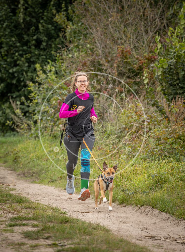 Pfotenfotografie_DV3A6359 | Hundefotografie, Tierfotograf, Pfotenfotografie, Fotoshooting Hund, Hunde Portrait, Hundesport, Hundeportraits, Heideshooting, Hunde, Sportfotograf, Hundefotograf, Turnierhundsport, THS,  - Realisiert mit Pictrs.com
