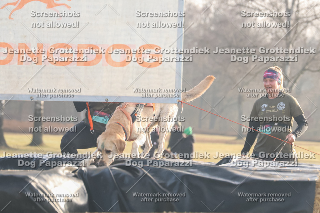 Dog Paparazzi - SD North 0326 900930-60 | Dog Paparazzi Jeanette Grottendiek Fotografie & Videografie - Realisiert mit Pictrs.com