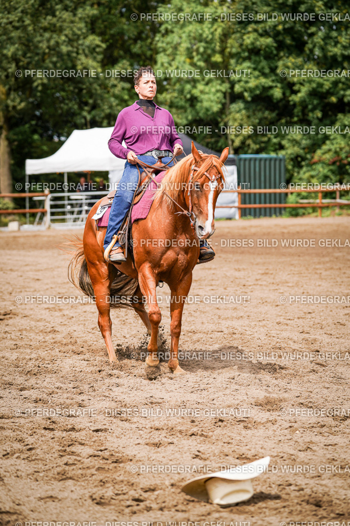 DSC07134 | Pferdegrafie