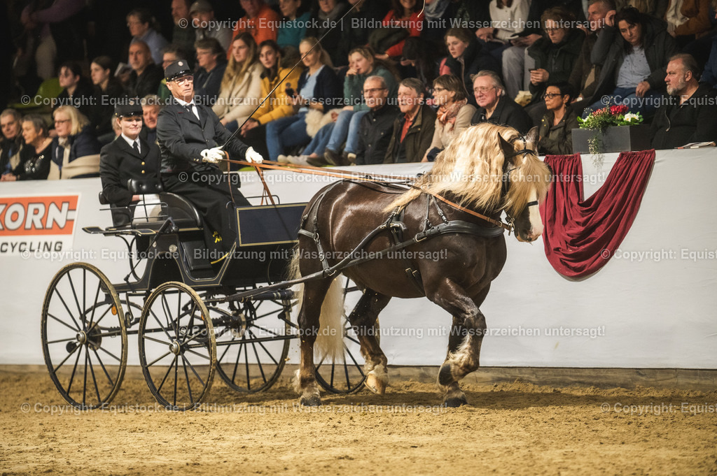 20240302_Hengstvorstellung_Marbach_TOMsPiC_0611 | equistock