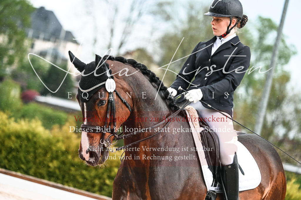 DSC_4156 | Pferde- und Turnierfotografie in Westsachsen. Pferdeportraits, Auftragszeichnungen und intuitive Kunst.