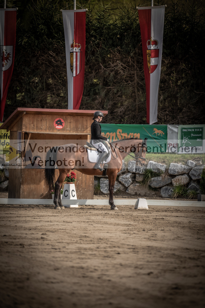 DSC_8585 | equestrian-live-com