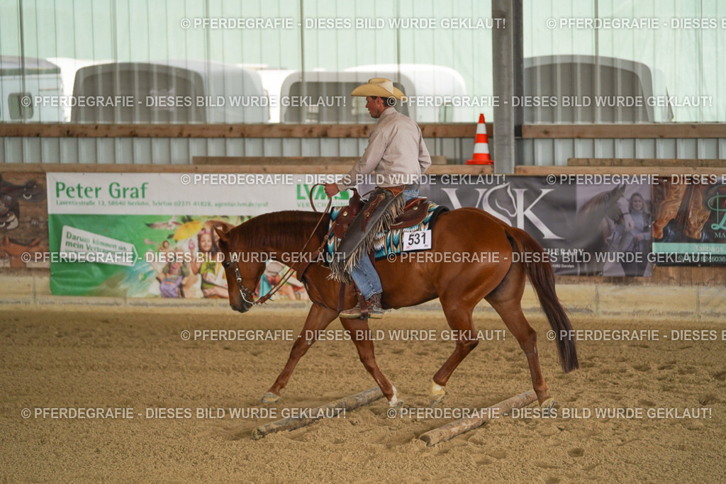 DSC03015 | Pferdegrafie