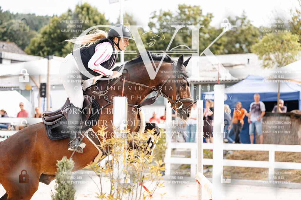 CK901984 | Turnierfotografie Pferdefotografie Trier Rheinland-Pfalz Pferdesport Reitsport Tierfotografie Sportfotografie Pferdevideo Pferdevideografie Equestrianvideography equestrianphotography  - Realisiert mit Pictrs.com