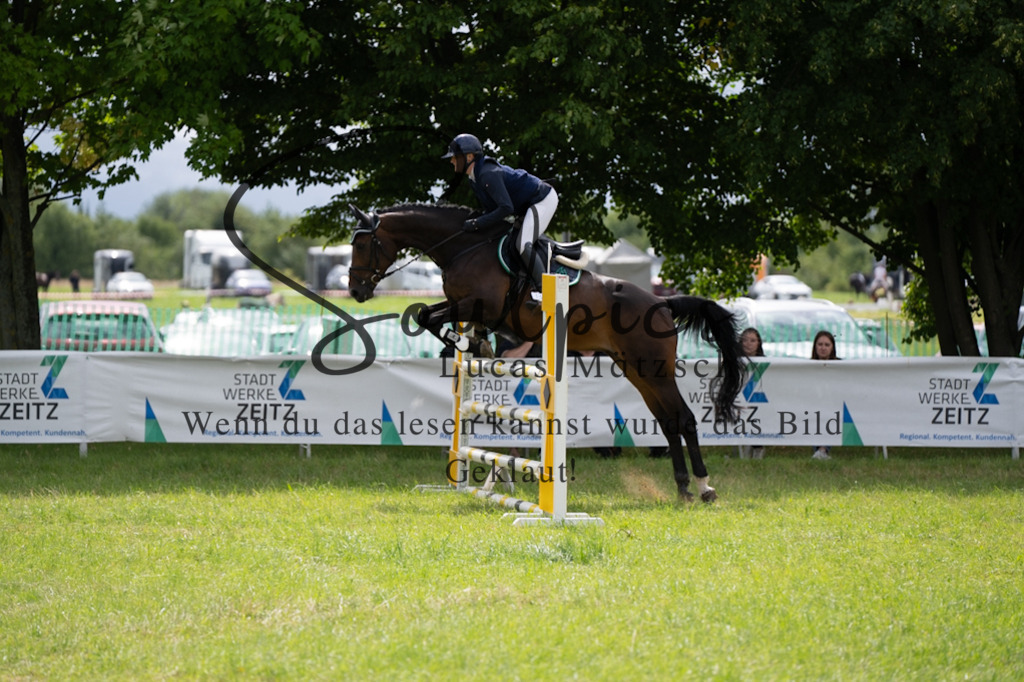 A7V04133 | Pferdefotograf