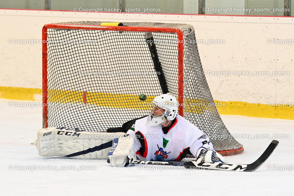 EC Feld am See vs. ELV Zauchen 15.1.2023 | #81 Harder Michael, Puck, Tor ELV Zauchen