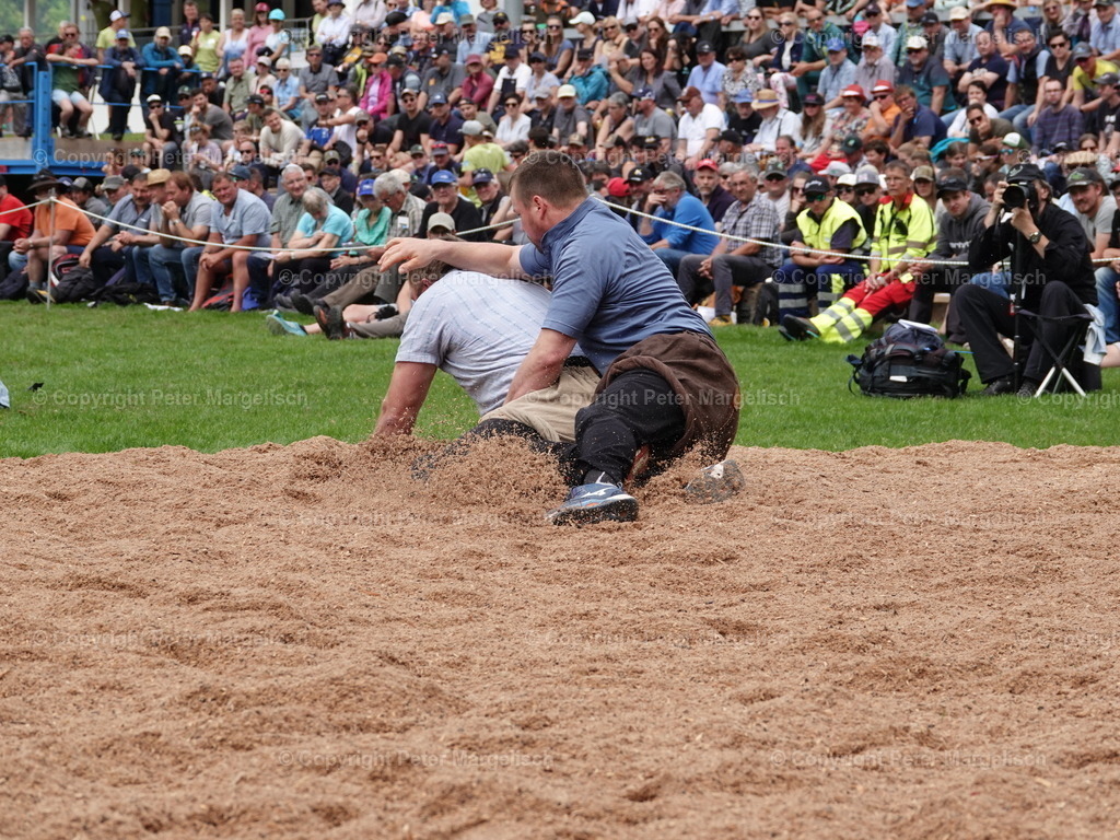 DSC07185 | Schwingen - Realisiert mit Pictrs.com