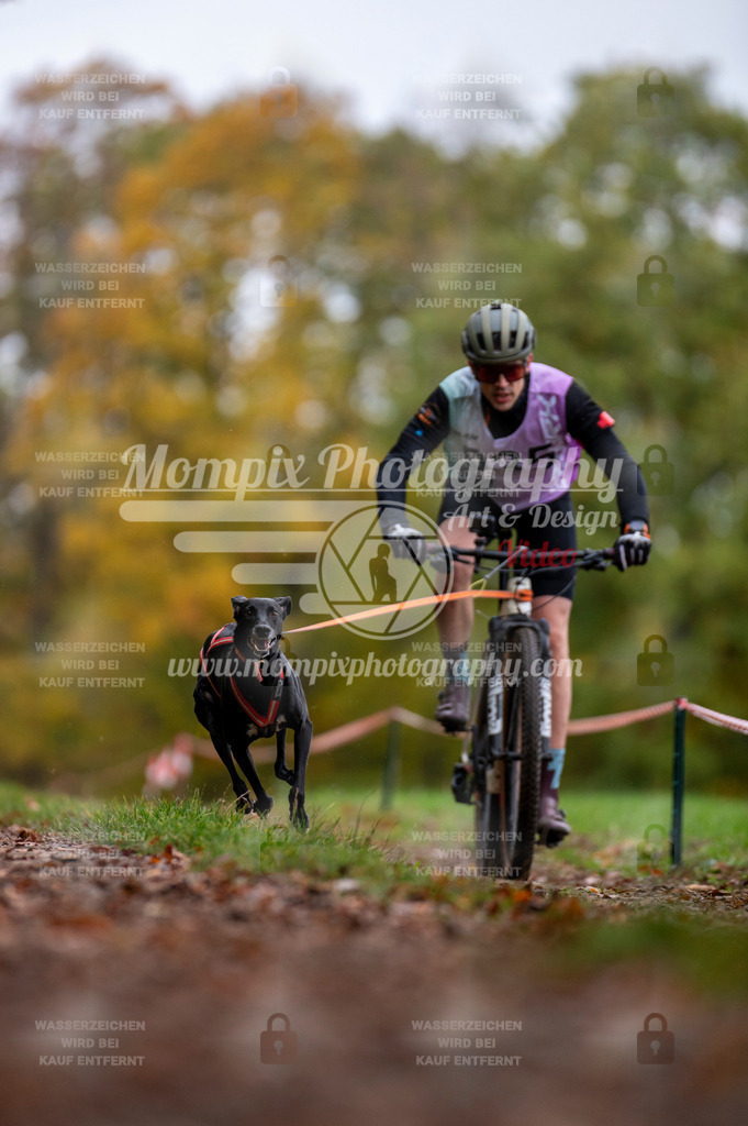 DBT_DAKM_SA_4_11_2023_Bike-2 | PayLife