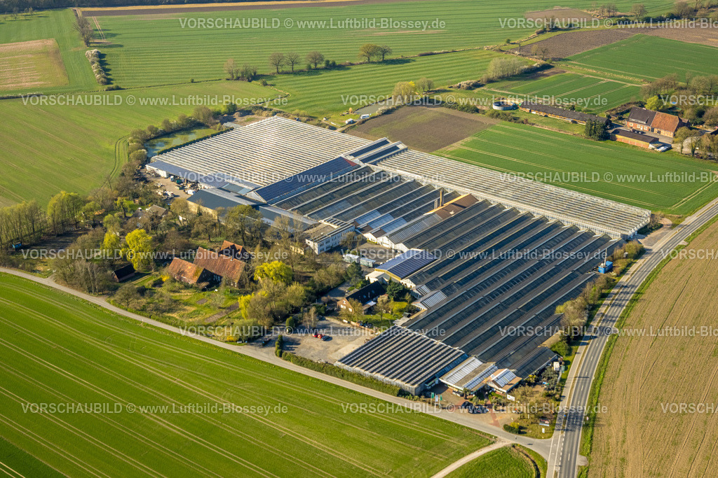 Nordkirchen250400896 | Luftbild, Palmenheld und Gärtner Gregg Gartencenter Gewächshaus, Nordkirchen, Münsterland, Nordrhein-Westfalen, Deutschland