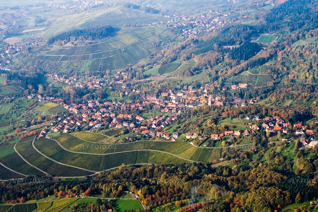 Luftbild: Weinbergen im Ortsteil Neusatz in Bühl im Bundesland Baden-Württemberg in Deutschland. Foto: IMG_13960.jpg vom 11.10.2008 durch Werner Riehm/FLY-FOTO.de