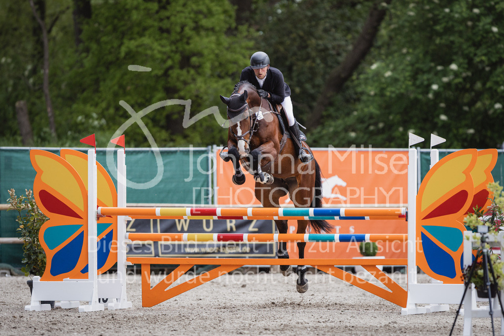 230516_Mühlen_05SprPf-L-590 | Deine schönsten Turniermomente als professionelle Fotos! Entdecke hochwertige Pferdesport-Fotografie im Online-Shop. Jetzt Fotos finden & bestellen!