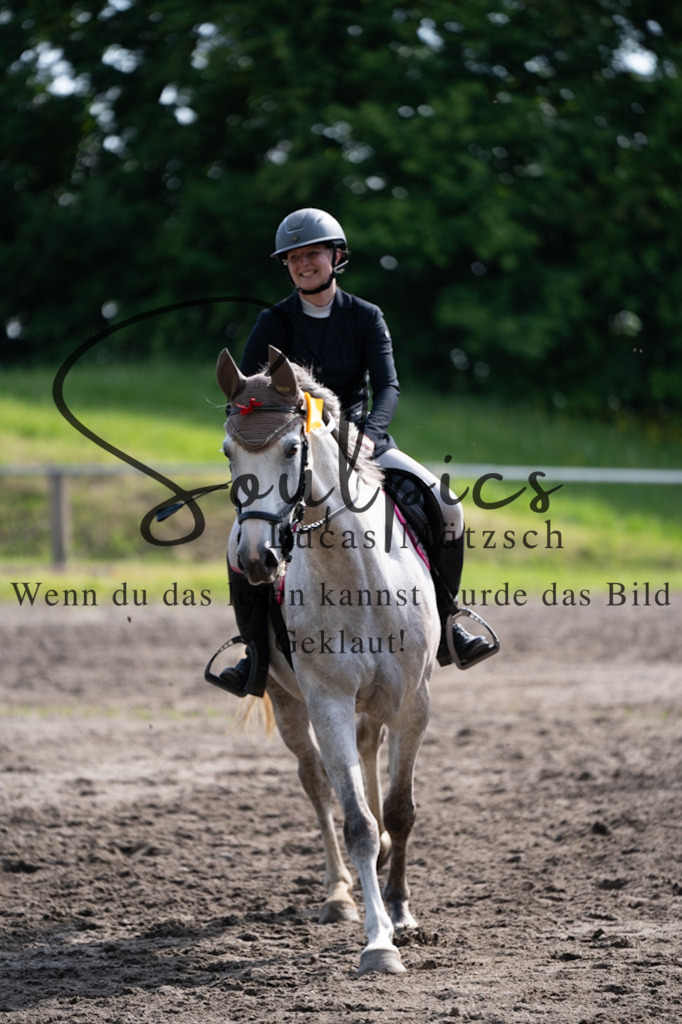 A7V03669 | Pferdefotograf