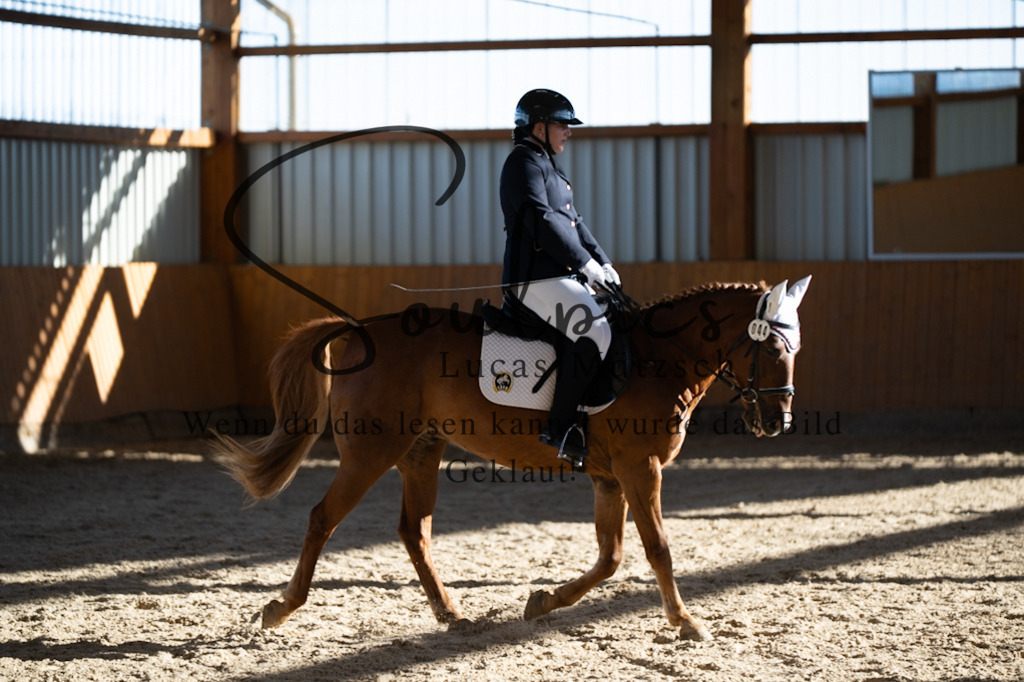 A7V01753 | Turnier/Reitfotograf