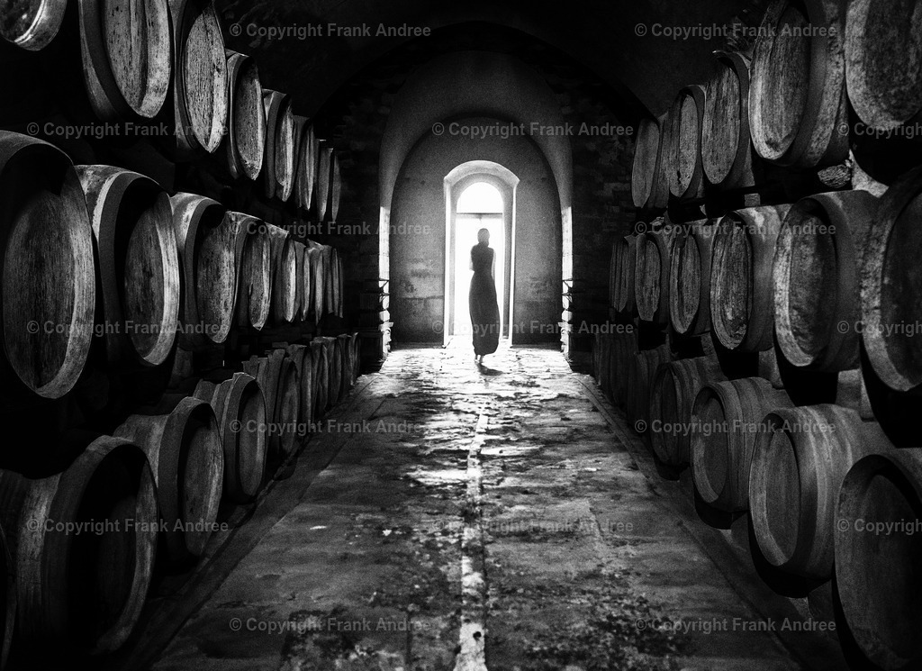 Illusion 2 | Am Ende eines Weinkellers mit vielen alten hölzernen Weinfässern steht eine Frau im Gegenlicht des Ausgangs. digitale Kunst in schwarz weiß - Realisiert mit Pictrs.com