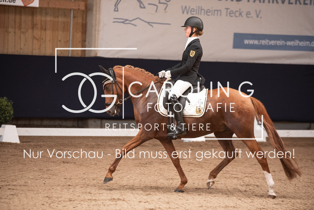 DSC_3327 | Carolin Gieschke