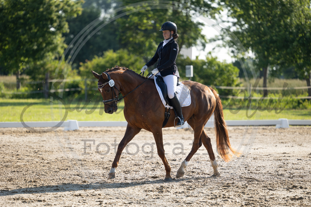 994A4017 | sabrinanicolaifotografie - Realisiert mit Pictrs.com