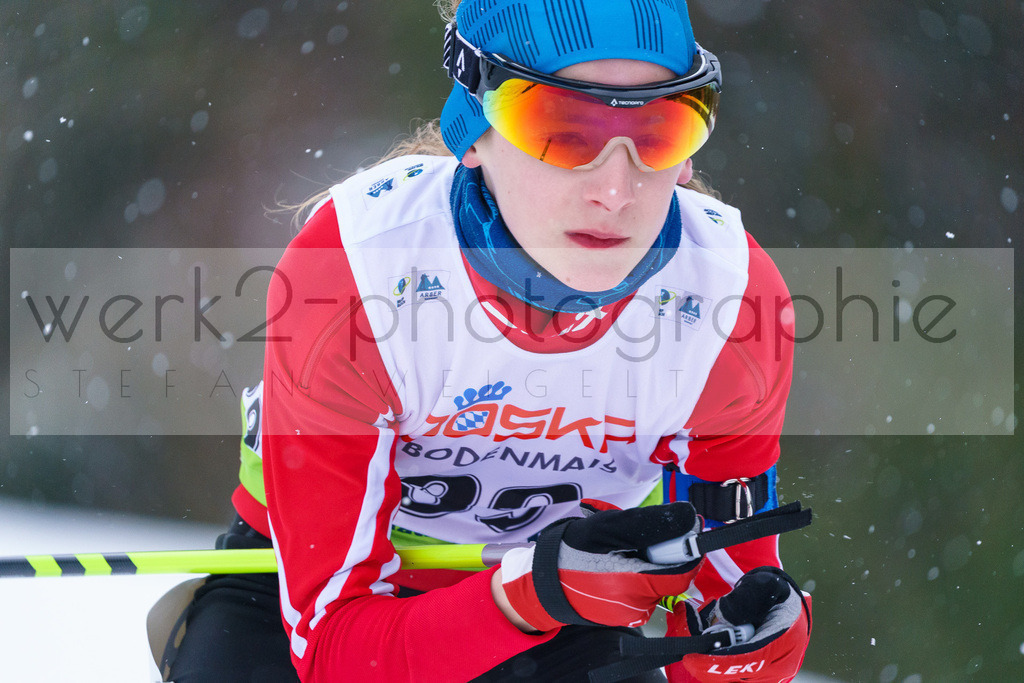 DSC Arber | Bayerischer Wald am 9. bis 12. Februar 2023
