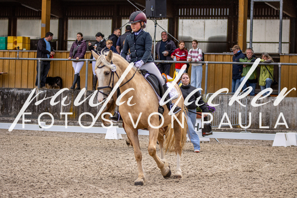 IMG_3521 | Erleben Sie dynamische Sport- und emotionale Tierfotografie in Süddeutschland mit Fotos von Paula. Spezialisiert auf Pferde- und Hundefotografie sowie Sportevents. Kontaktieren Sie mich für einzigartige und ausdrucksstarke Bilder Ihrer besonderen Momente.