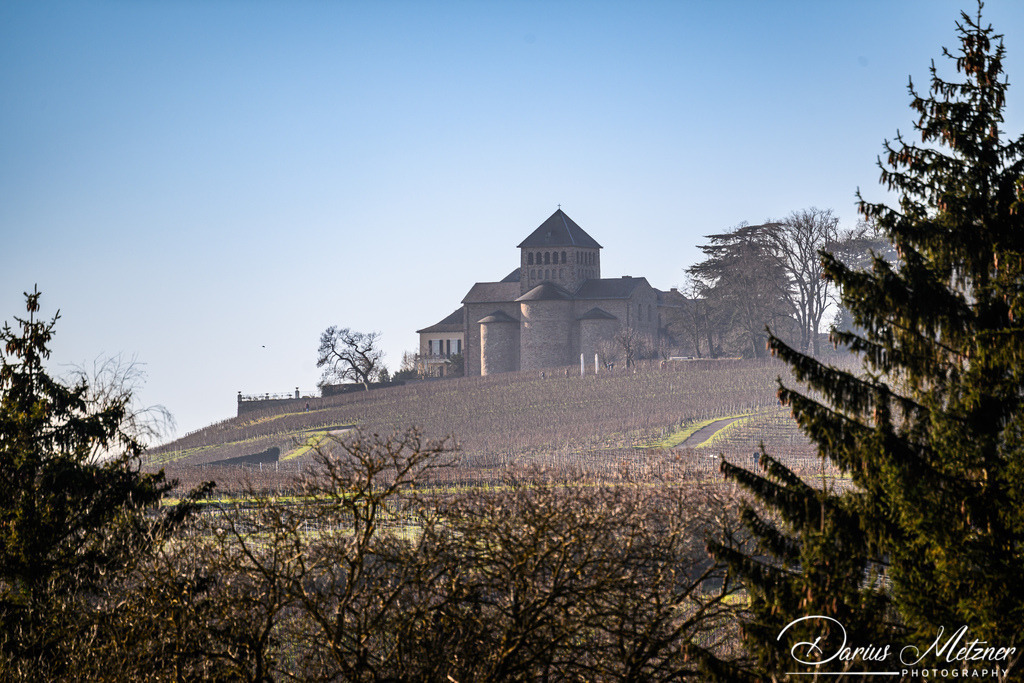 DSC_9131 | Fotografien, Fotos und Bilder aus Mainz, Frankfurt, Wiesbaden und anderen Orten auf der Welt - Fotografiert von Darius Metzner