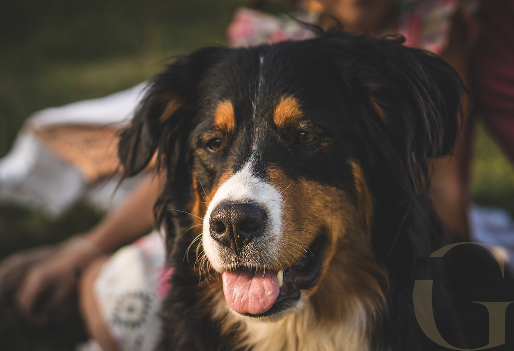 MGFoto-0053 | Newborn - Realisiert mit Pictrs.com