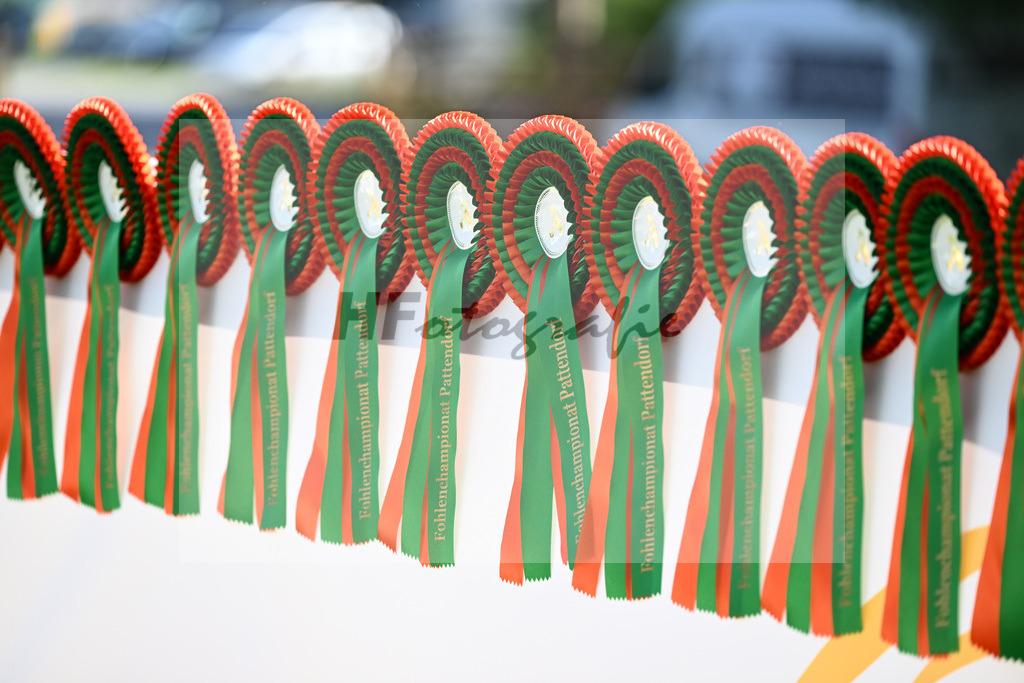 Impressionen_27230008 | hf-fotografie - Realisiert mit Pictrs.com