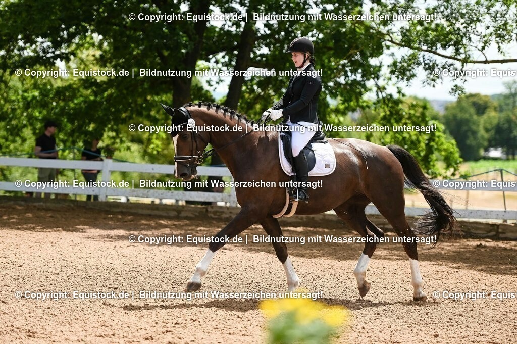 20230716_03_Dressurprfg. Kl.L - Tr._0173 | equistock