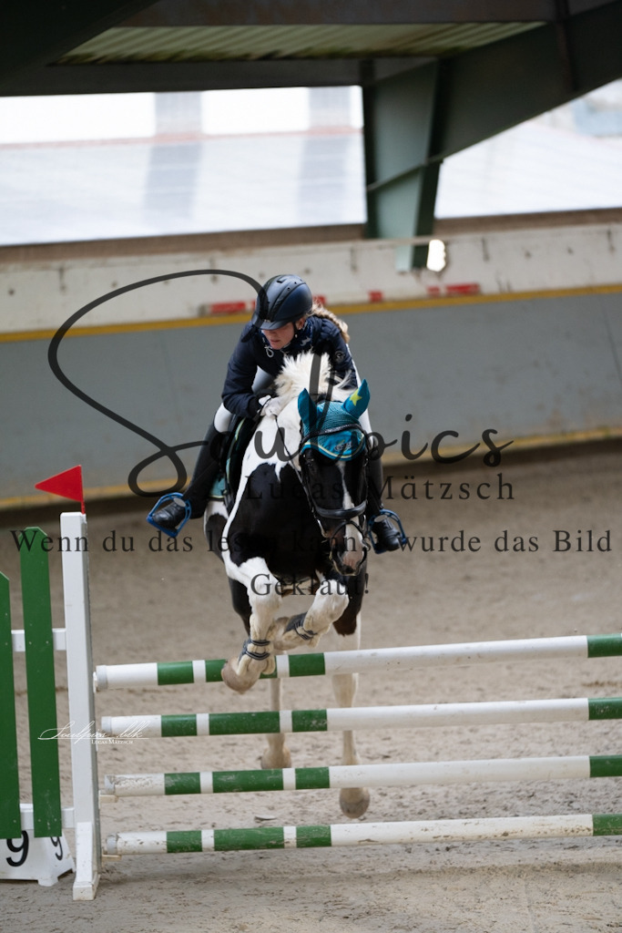 A7V01448 | Pferdefotograf