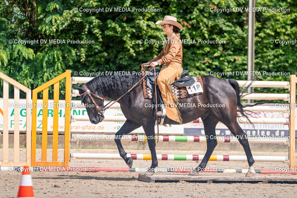 Zeiskam Tag 3-426 | dv-media-shop - Realisiert mit Pictrs.com