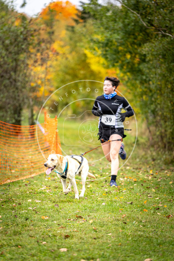 Pfotenfotografie_DV3A2273 | Hundefotografie, Tierfotograf, Pfotenfotografie, Fotoshooting Hund, Hunde Portrait, Hundesport, Hundeportraits, Heideshooting, Hunde, Sportfotograf, Hundefotograf, Turnierhundsport, THS,  - Realisiert mit Pictrs.com