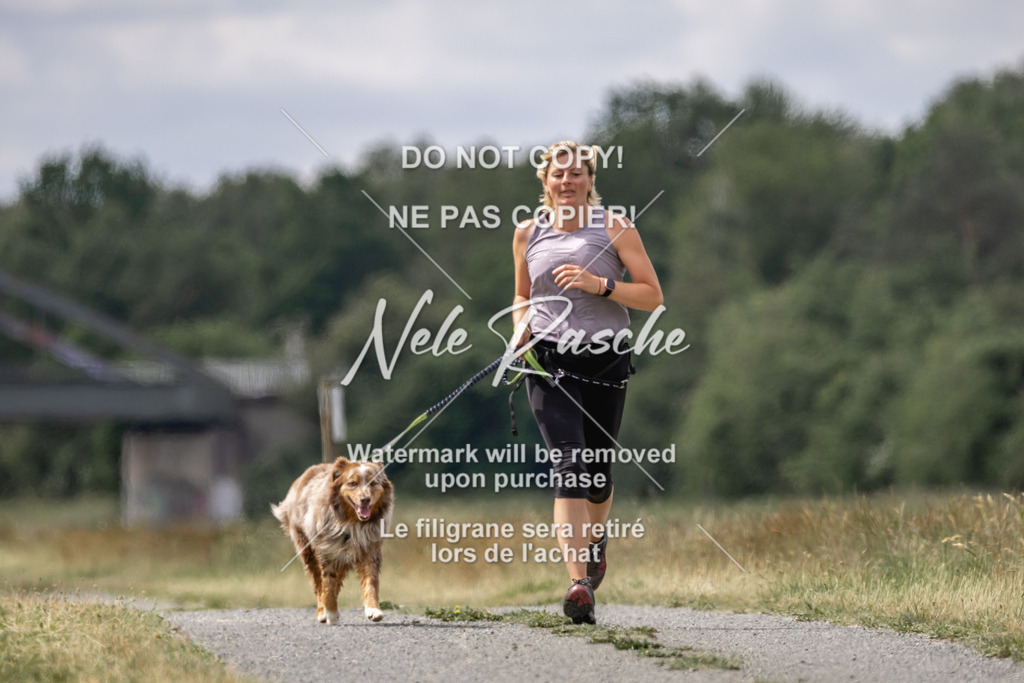 nelerasche_BuHu2026_SaCC1100-1200_86 | nelerasche