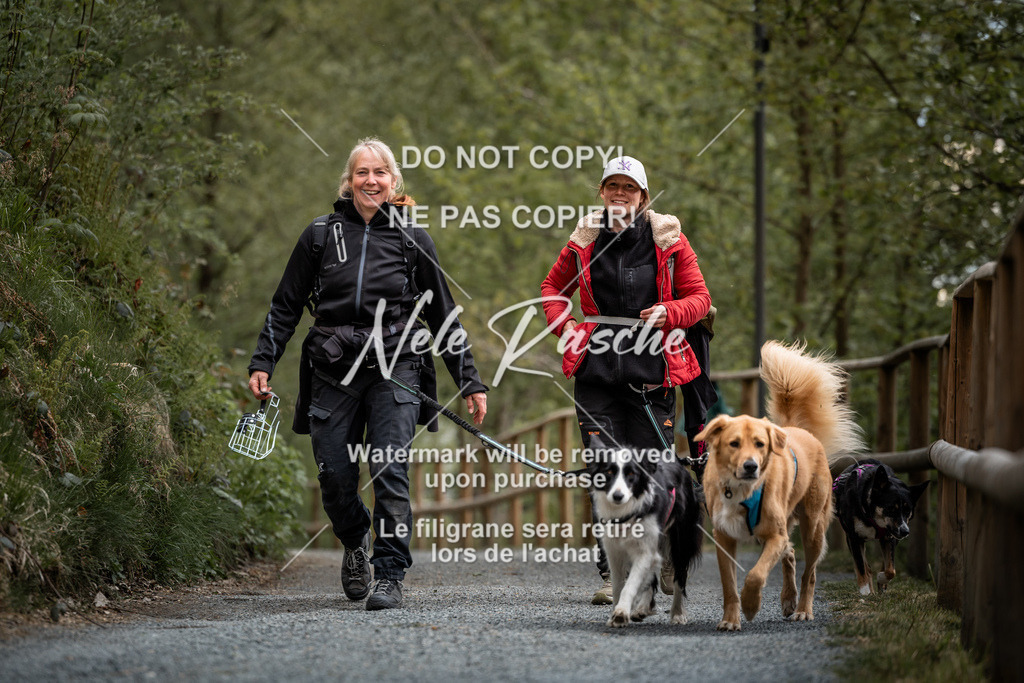 nelerasche_SaAbends_14 | nelerasche