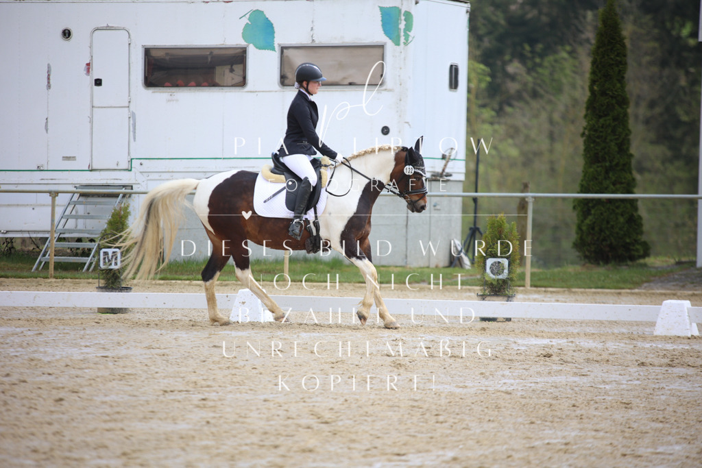 IMGT3421 | pl-fotografie