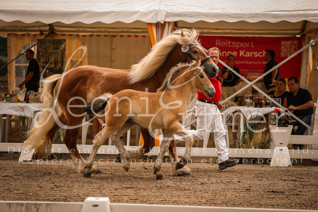 SaSF00048 | Leoni Ertmer Photography - Realisiert mit Pictrs.com